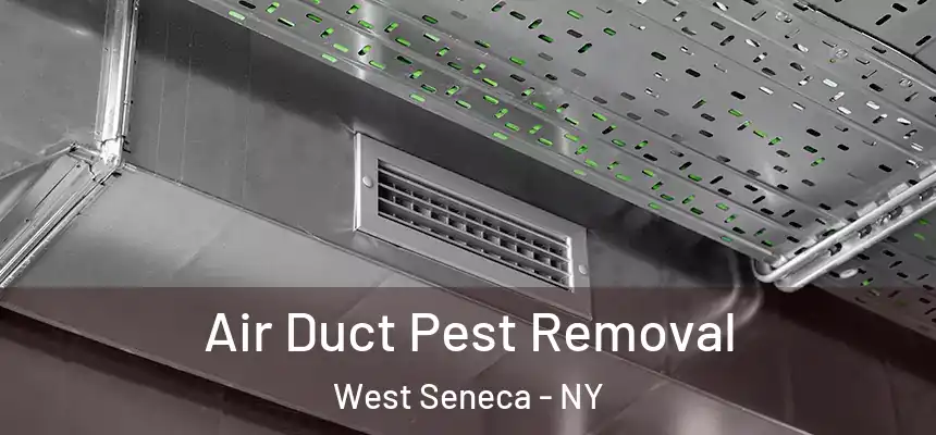  Air Duct Pest Removal West Seneca - NY
