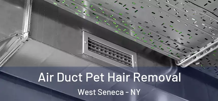  Air Duct Pet Hair Removal West Seneca - NY