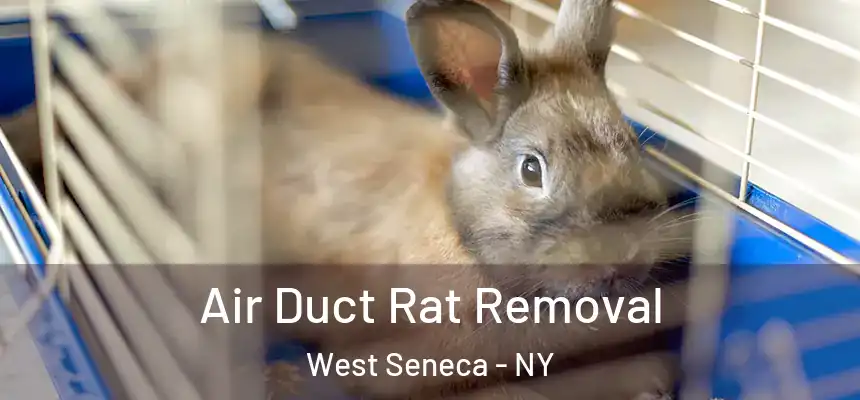  Air Duct Rat Removal West Seneca - NY