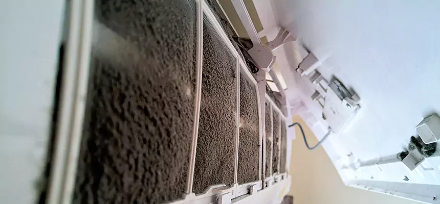 Preventive Air Duct Bacteria Removal in West Seneca