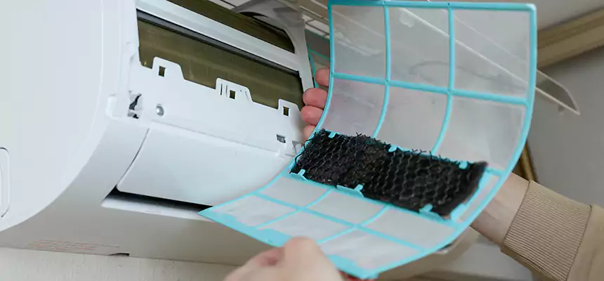 Gentle Ductwork Odor-Control Pet Dander Duct Cleaning in West Seneca, NY