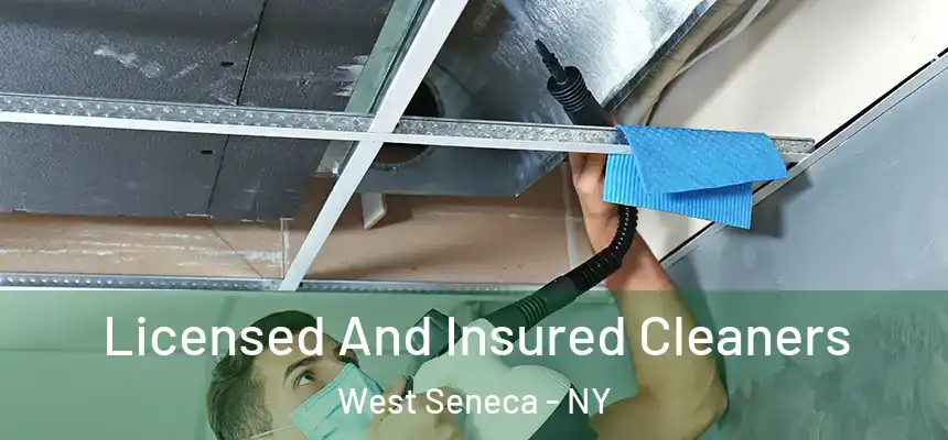  Licensed And Insured Cleaners West Seneca - NY