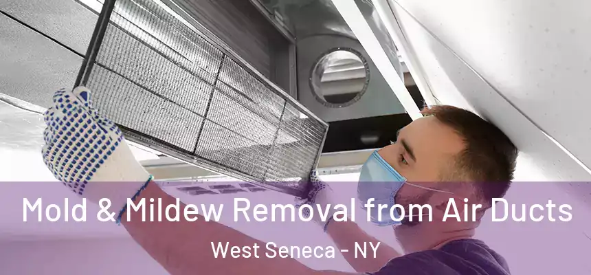  Mold & Mildew Removal from Air Ducts West Seneca - NY