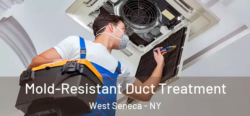 Mold-Resistant Duct Treatment West Seneca - NY