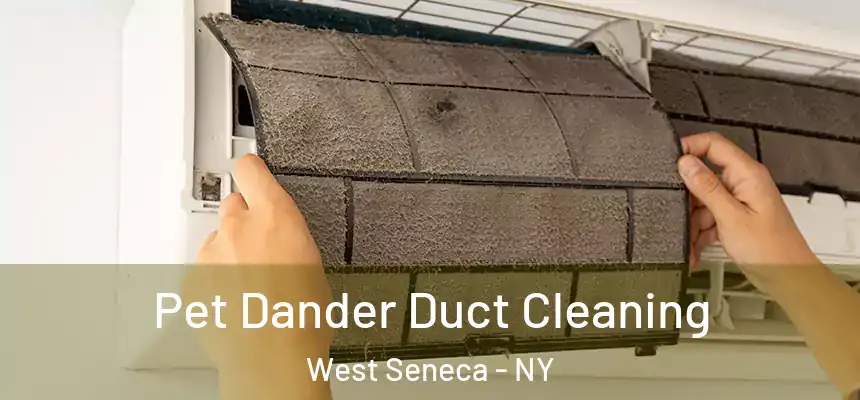 Pet Dander Duct Cleaning West Seneca - NY