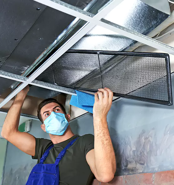 About Air Duct Bacteria Removal in West Seneca