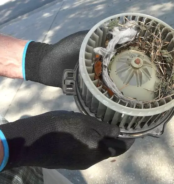 About Air Duct Mice Removal in West Seneca, NY