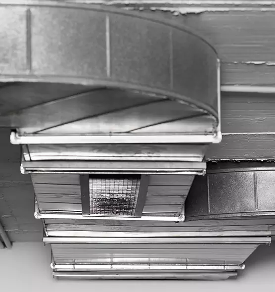 Professional Air Duct Pest Removal in West Seneca, NY