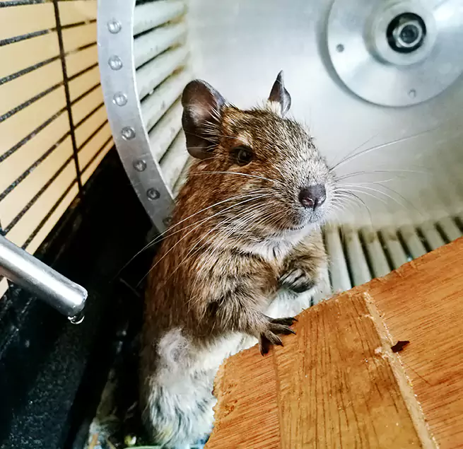 Why Homeowners & Businesses Trust Us West Seneca, NY